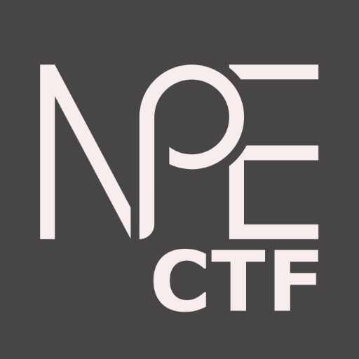 The Null Pointer Exception CTF logo